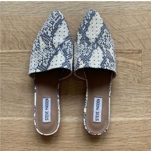 Steve Madden Mule
